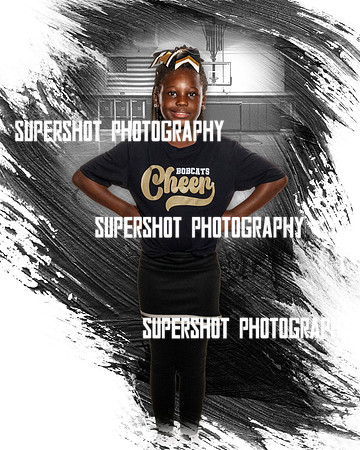 SSP_2947