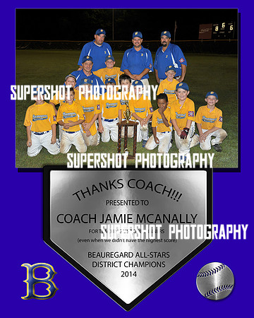 Coach Recognition Plaque