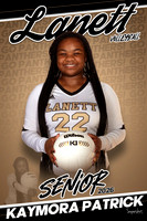 Volleyball