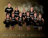 6U Cheer Team