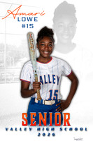 Softball Banners