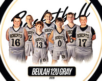 12U Gray Team