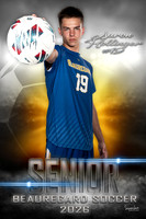 SSP_2010