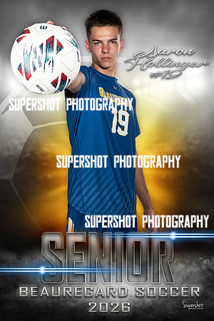SSP_2010