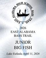 Junior Big Fish