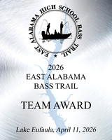 Team Award