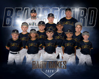 Baby Cakes Team
