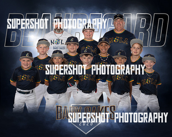 Baby Cakes Team