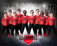 Cardinals Team