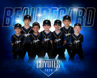 Coyotes Team