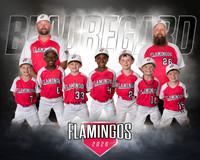 Flamingos Team
