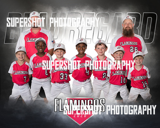 Flamingos Team