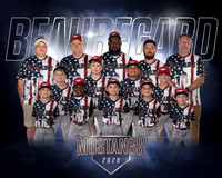 Mustangs Team