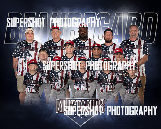Mustangs Team