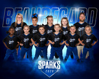 Sparks Team