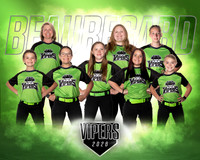 Vipers Team