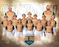 Wood Ducks Team