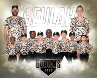 TBall Camo Team