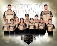 TBall Gold Team