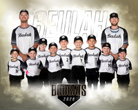 TBall White Team