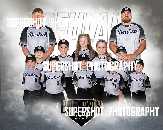 TBall Gray Team