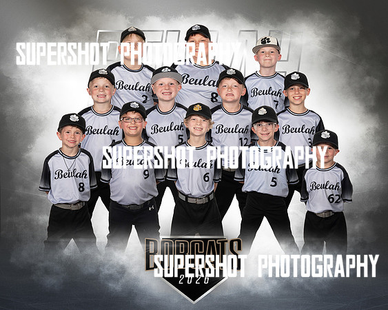 8U Grey Team