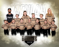 SB 6U Gold Team
