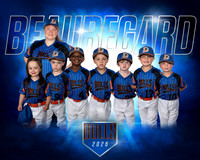 TBall Bulls