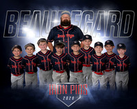 TBall Iron Pigs