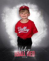 SSF_8203
