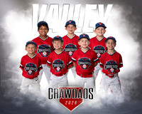 Crawdads Team