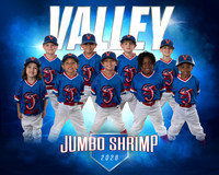 Jumbo Shrimp Team