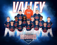 Redbirds Team