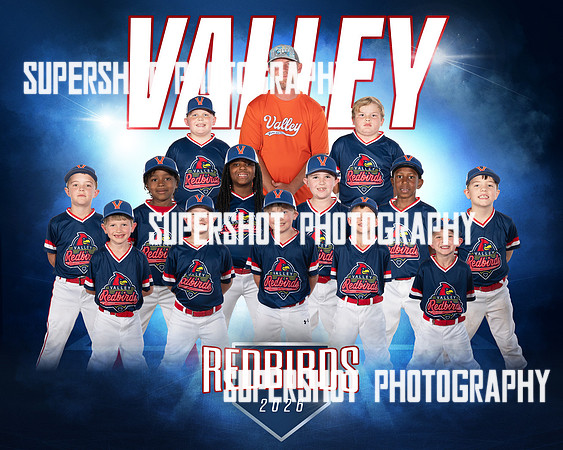 Redbirds Team