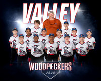 Woodpeckers Team