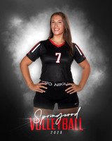 Volleyball