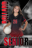 Volleyball