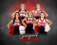 JV Cheer Team