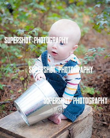 Crane-6810