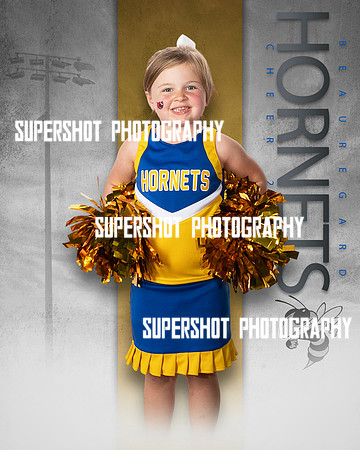SSF_1247