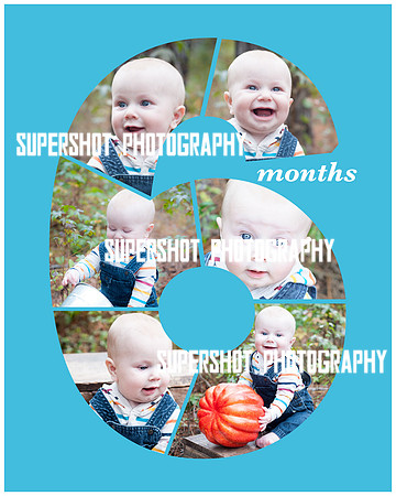 Crane--6 Months