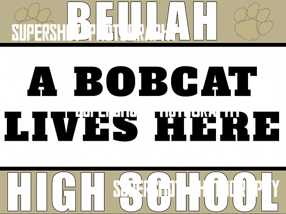 Bobcat lives here