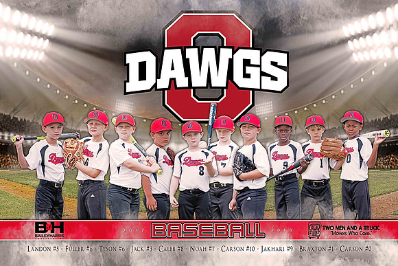 ODawgs Banner