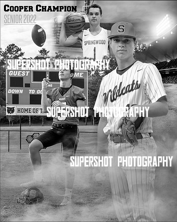 Senior Ad Update