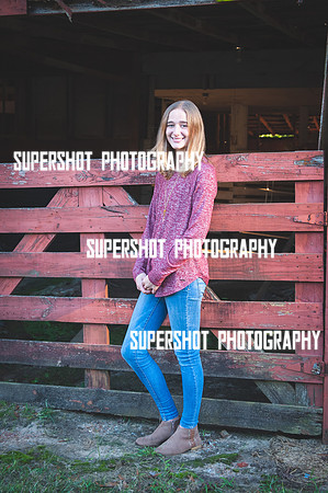 SSP_0561