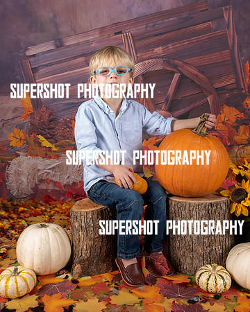 SSP_2933-Edit