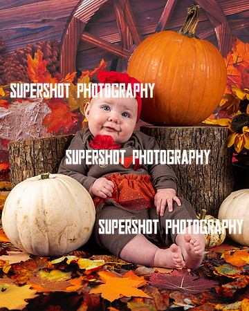 SSP_2981-Edit
