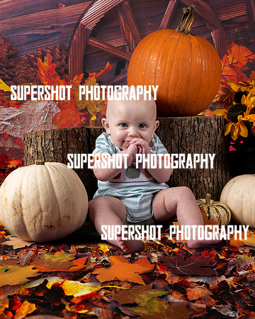 SSP_2988-Edit