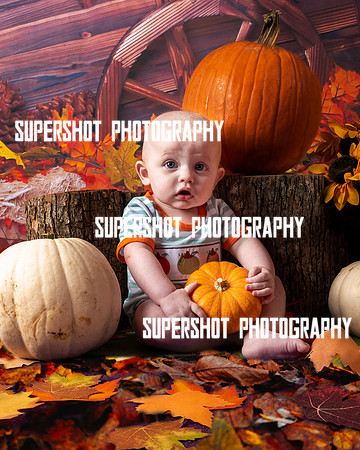 SSP_2990-Edit