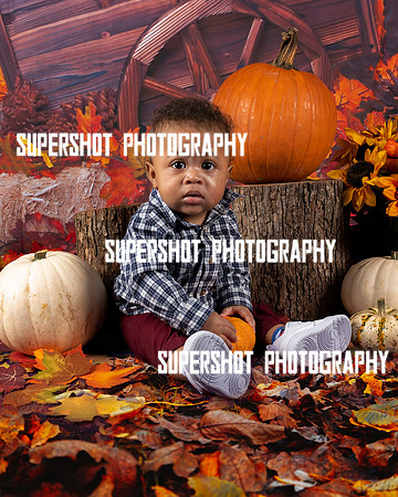 SSP_2998-Edit